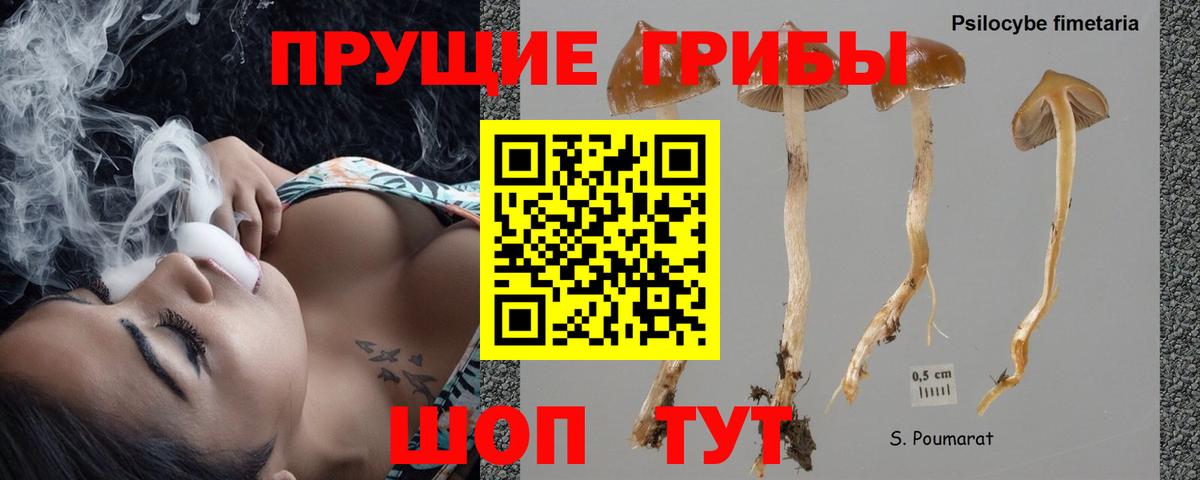 Котовск  магазин продажи наркотиков  Вход с VPN  Галлюциногенные грибы мицелий 