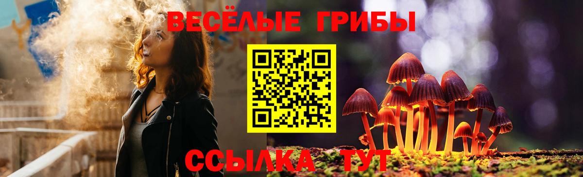 Галлюциногенные грибы Psilocybine cubensis Котовск